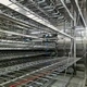 Automatic Swing Tray Proofing System